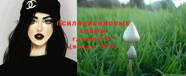 эйфоретик Надым