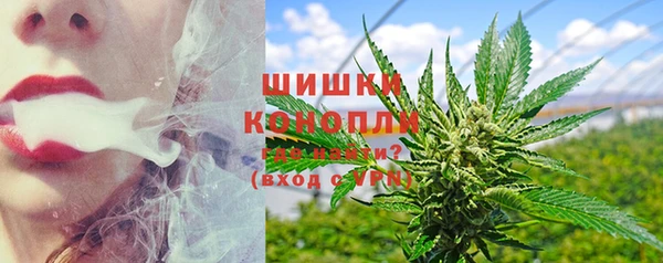 гидра Михайловка