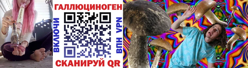 МЕГА tor  это телеграм  Инсар  Псилоцибиновые грибы Magic Shrooms  что такое  
